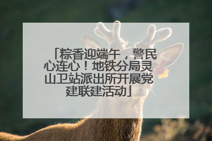 粽香迎端午，警民心连心！地铁分局灵山卫站派出所开展党建联建活动